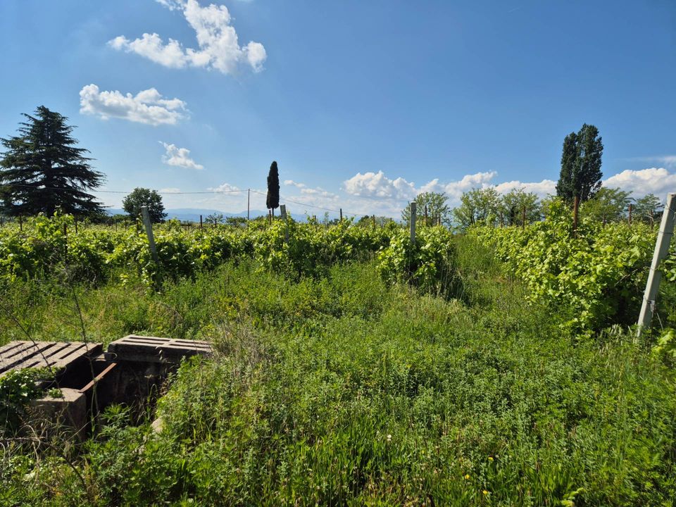 Helårsgrund i Lazise, Verona - foto 4