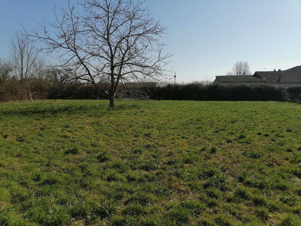 Tomt i Farges-lès-Mâcon, Saone-et-Loire - bilde 2