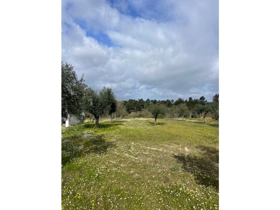Helårsgrund i Ponte de Sor, Portalegre - foto 2
