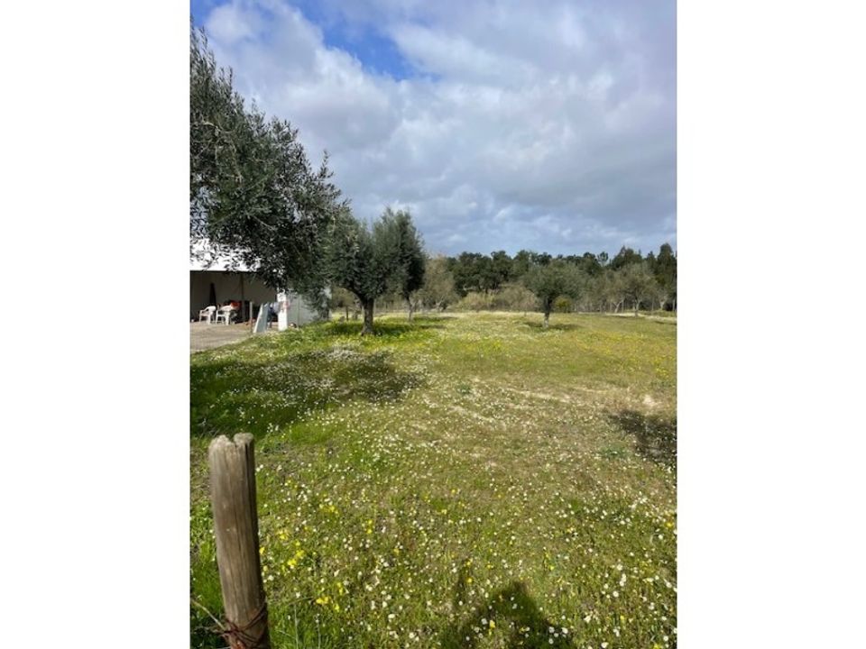 Helårsgrund i Ponte de Sor, Portalegre - foto 4