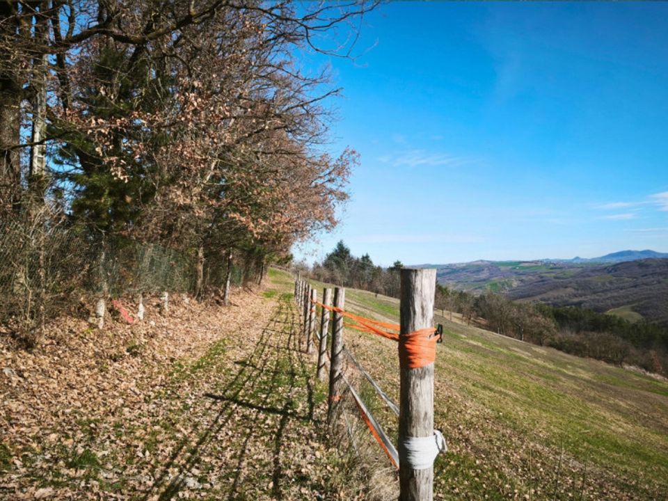 Helårsgrund i Neviano degli Arduini, Parma - foto 3