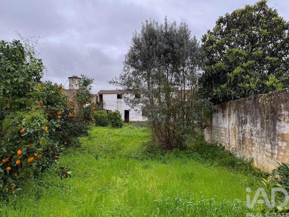 Byhus i Almeirim, Santarem - foto 3