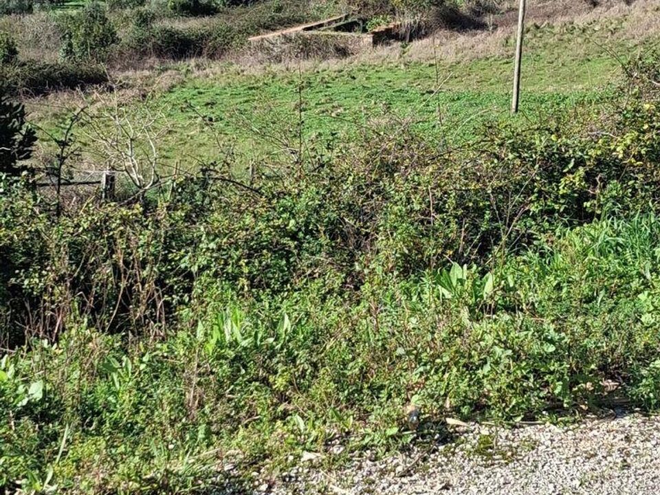 Helårsgrund i Alcobaca, Leiria - foto 3