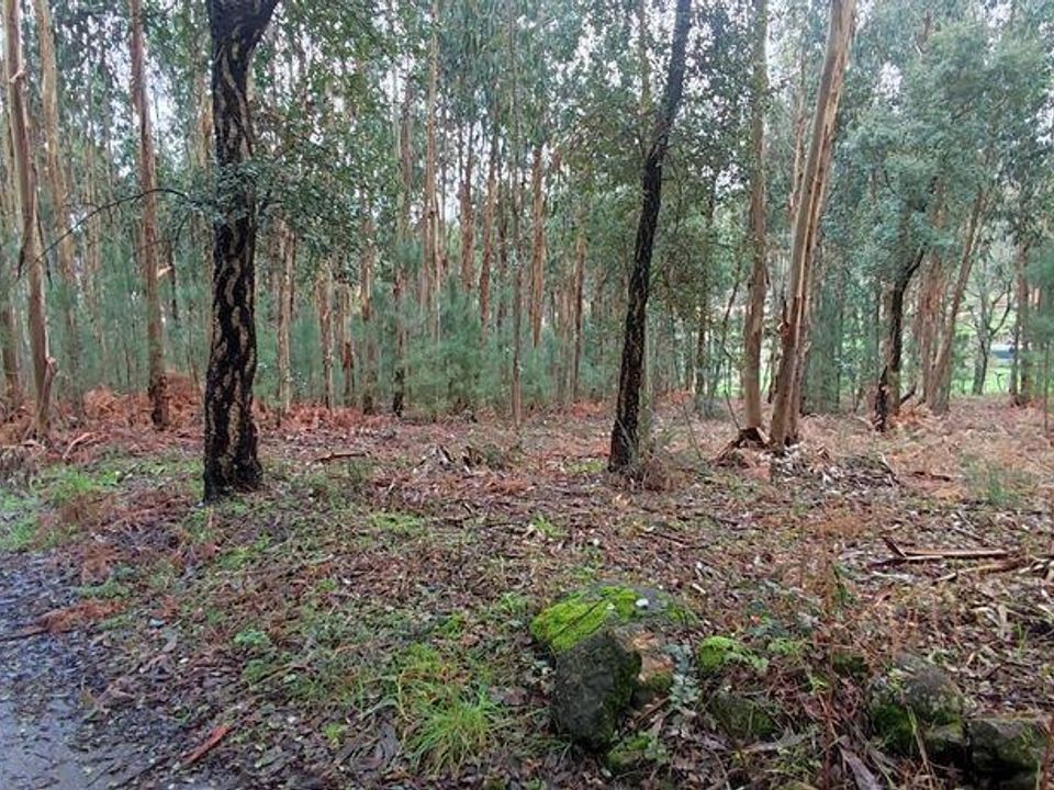 Tomt i Moncao, Viana do Castelo - bilde 3