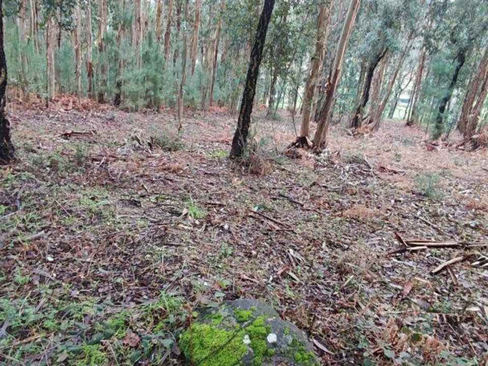 Tomt i Moncao, Viana do Castelo - bilde 4