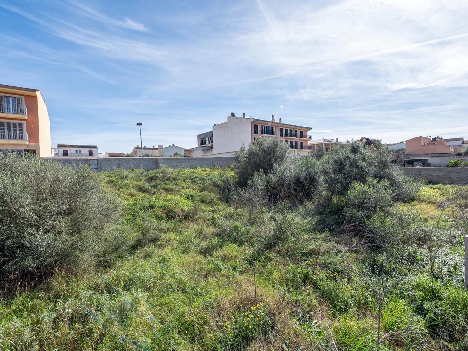 Terra a Muro, Mallorca - foto 3