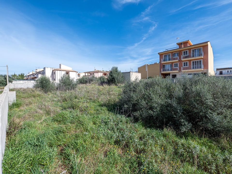 Terra a Muro, Mallorca - foto 4
