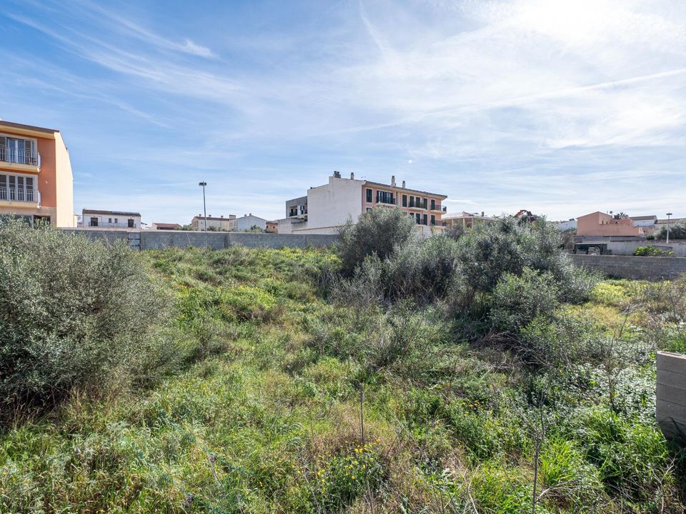 Terra a Muro, Mallorca - foto 5