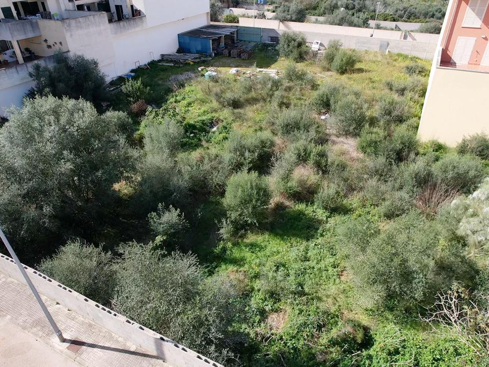 Terra a Muro, Mallorca - foto 1