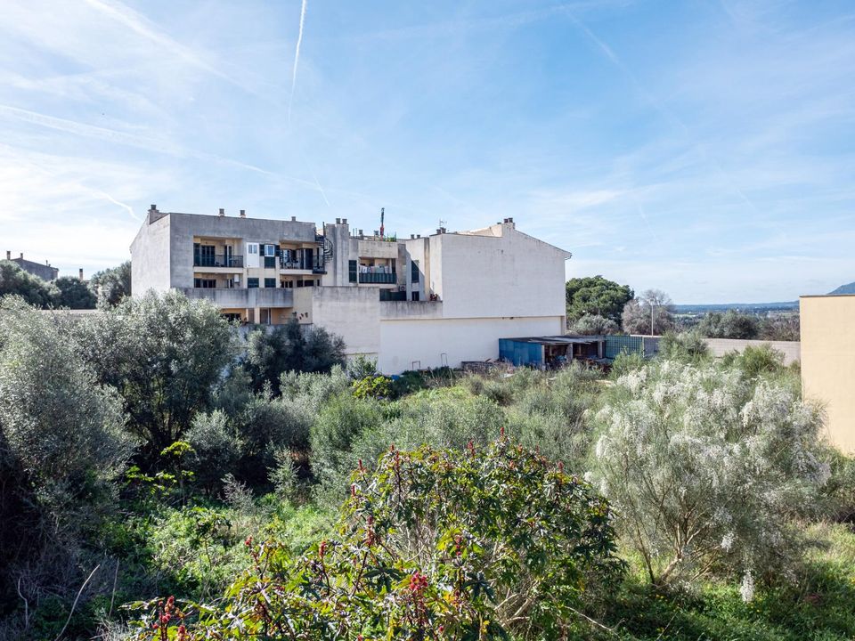 Terra a Muro, Mallorca - foto 3