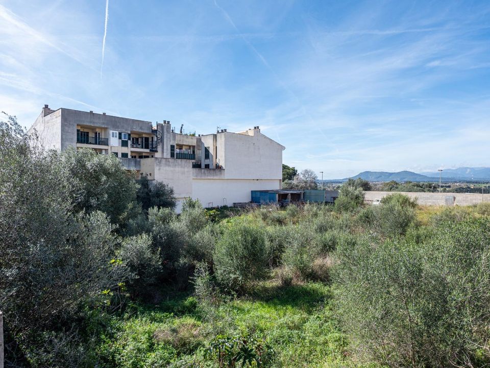 Terra a Muro, Mallorca - foto 5