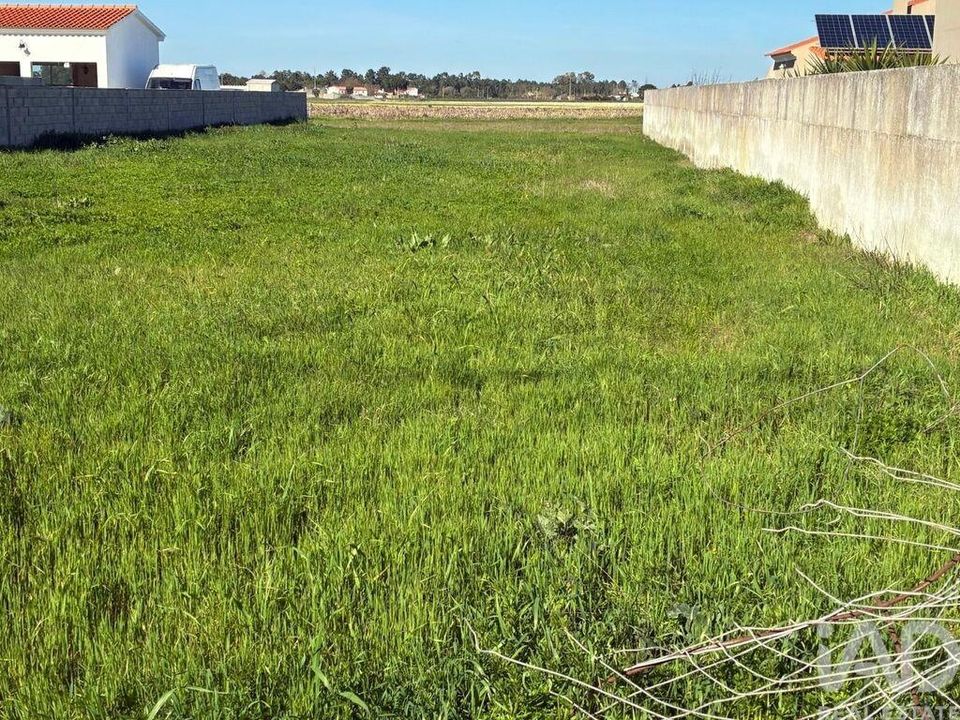 Helårsgrund i Salvaterra de Magos, Santarem - foto 1