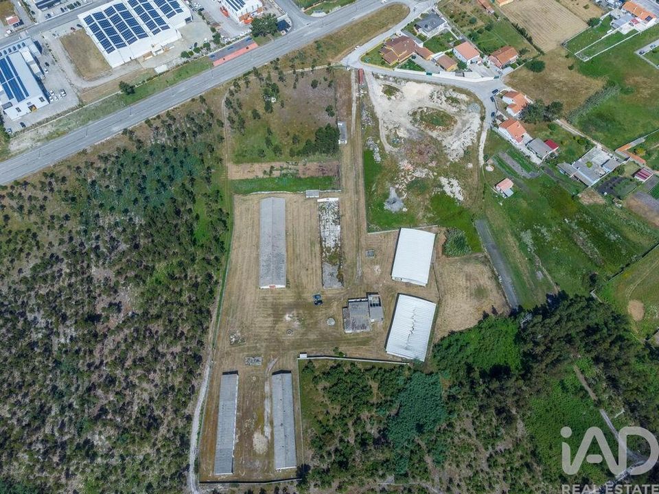 Helårsgrund i Marinha Grande, Leiria - foto 2