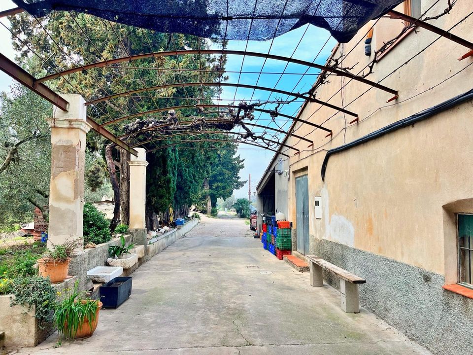 Villa i Tortosa, Tarragona - foto 4