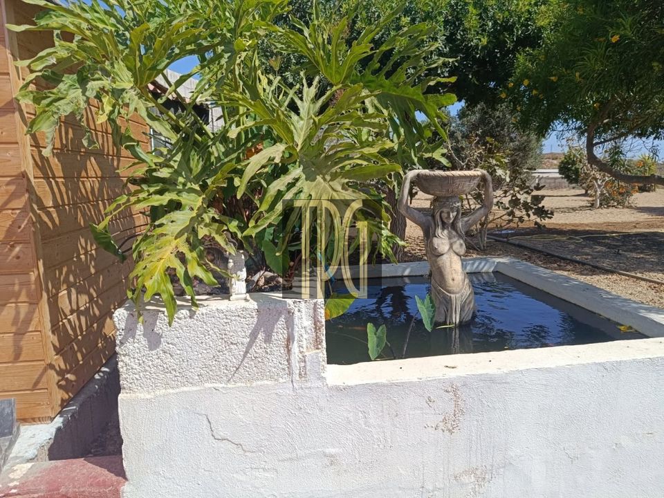 Villa i Arico, Tenerife - foto 4