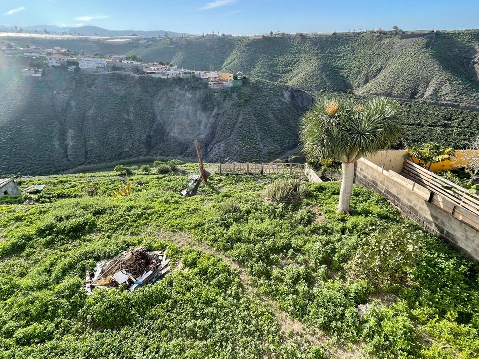 Helårsgrund i Firgas, Gran Canaria - foto 1