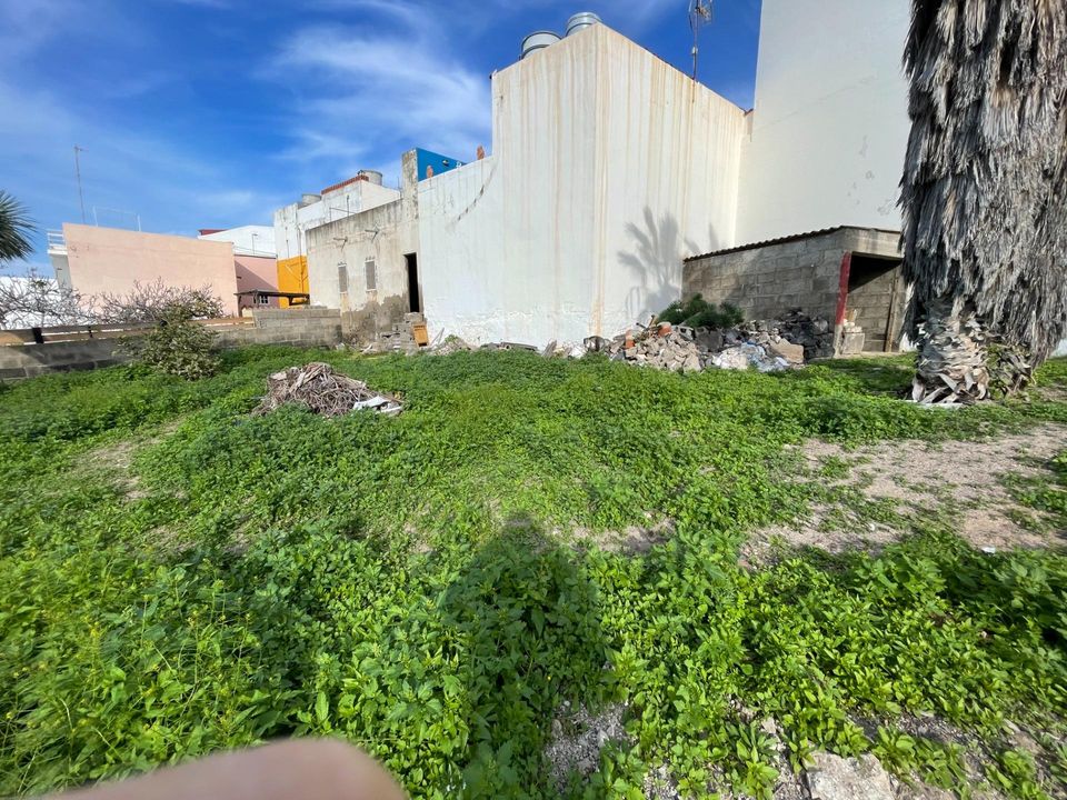 Helårsgrund i Firgas, Gran Canaria - foto 2