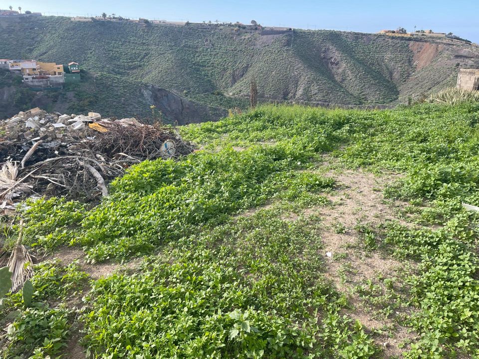 Helårsgrund i Firgas, Gran Canaria - foto 3