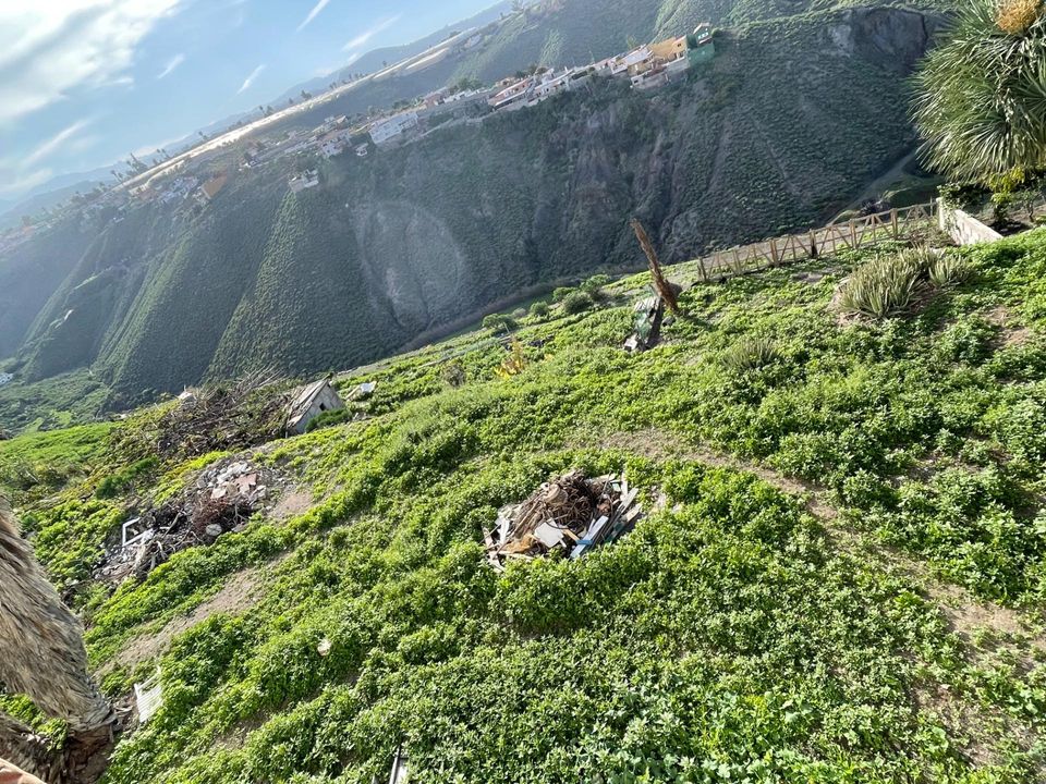 Helårsgrund i Firgas, Gran Canaria - foto 4