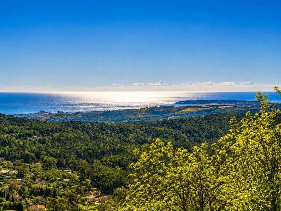 Villa a Tourrettes-sur-Loup, Alpes-Maritimes - foto 1