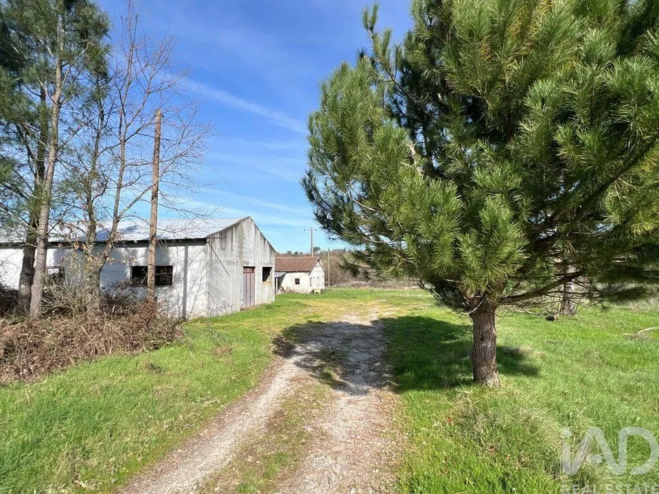Quinta em Mangualde, Viseu - foto 2