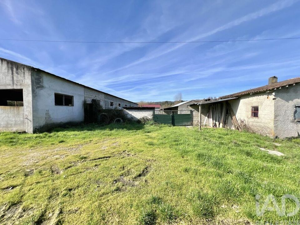 Quinta em Mangualde, Viseu - foto 4