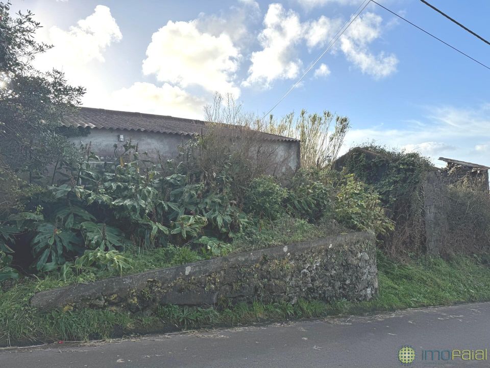 Byhus i Horta, Faial - foto 1