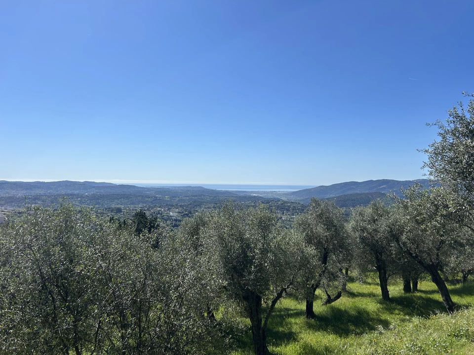 Villa i Grasse, Alpes-Maritimes - foto 4