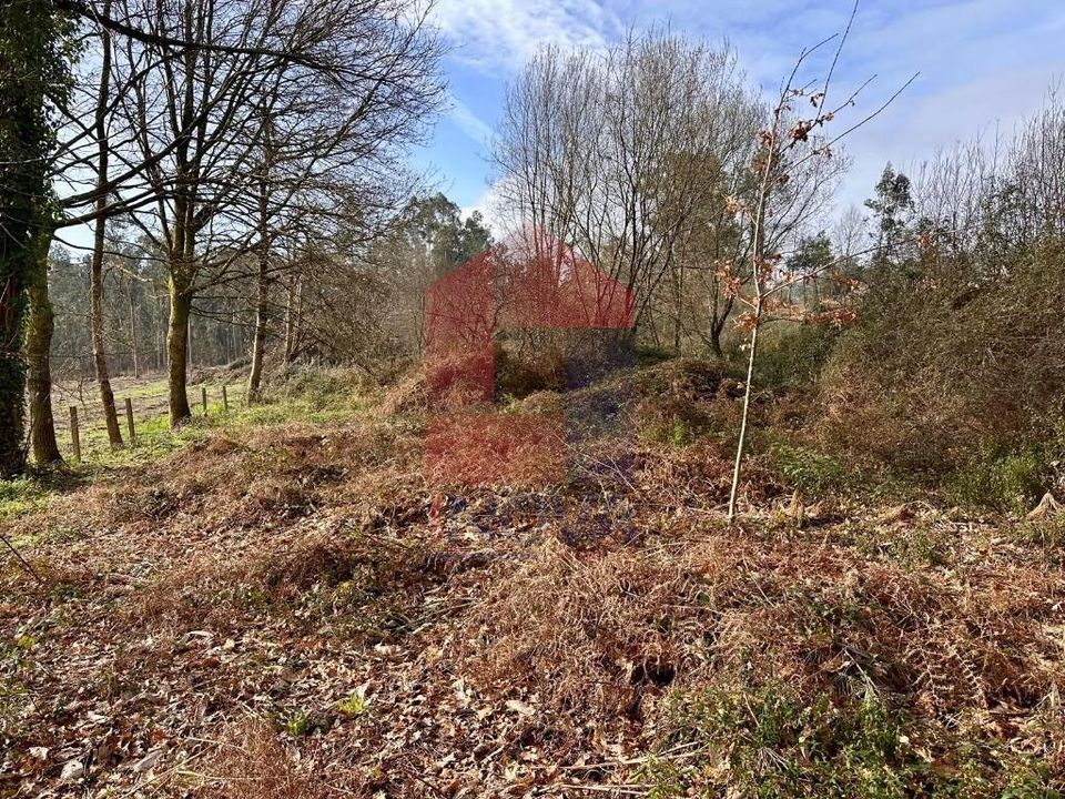 Helårsgrund i Vila Verde, Braga - foto 4