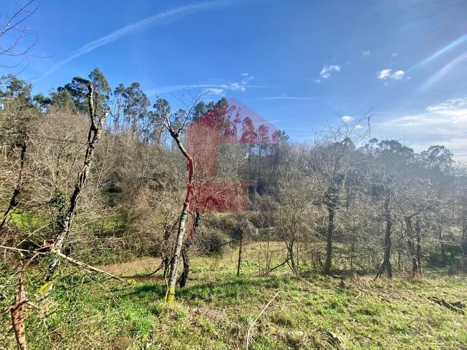 Helårsgrund i Vila Verde, Braga - foto 4