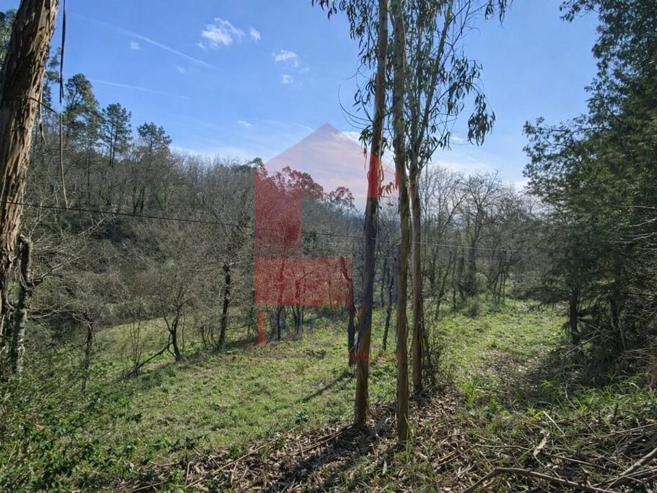 Helårsgrund i Vila Verde, Braga - foto 5