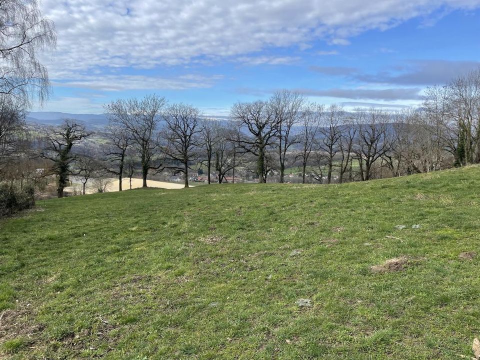 Willa: Copponex, Haute-Savoie – zdjęcie 3