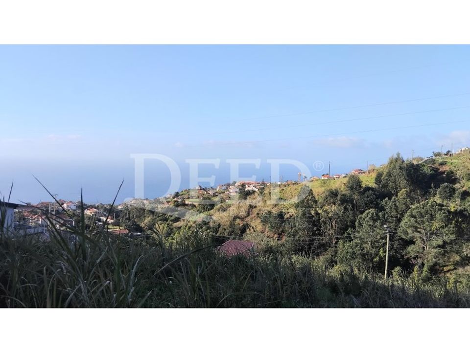 Helårsgrund i Ponta do Sol, Madeira - foto 1