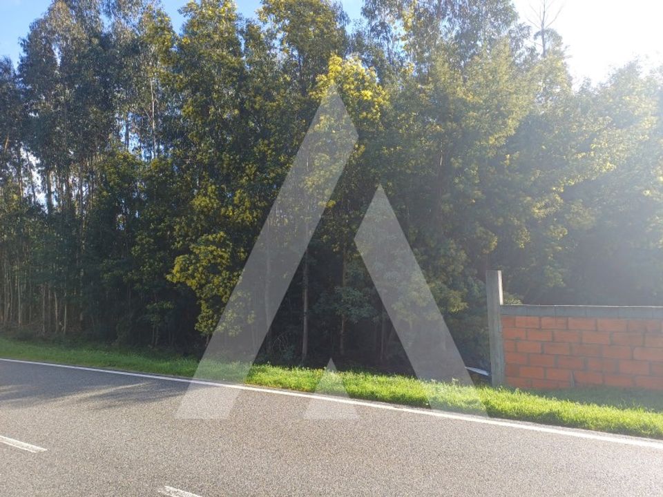 Helårsgrund i Santa Comba Dao, Viseu - foto 1