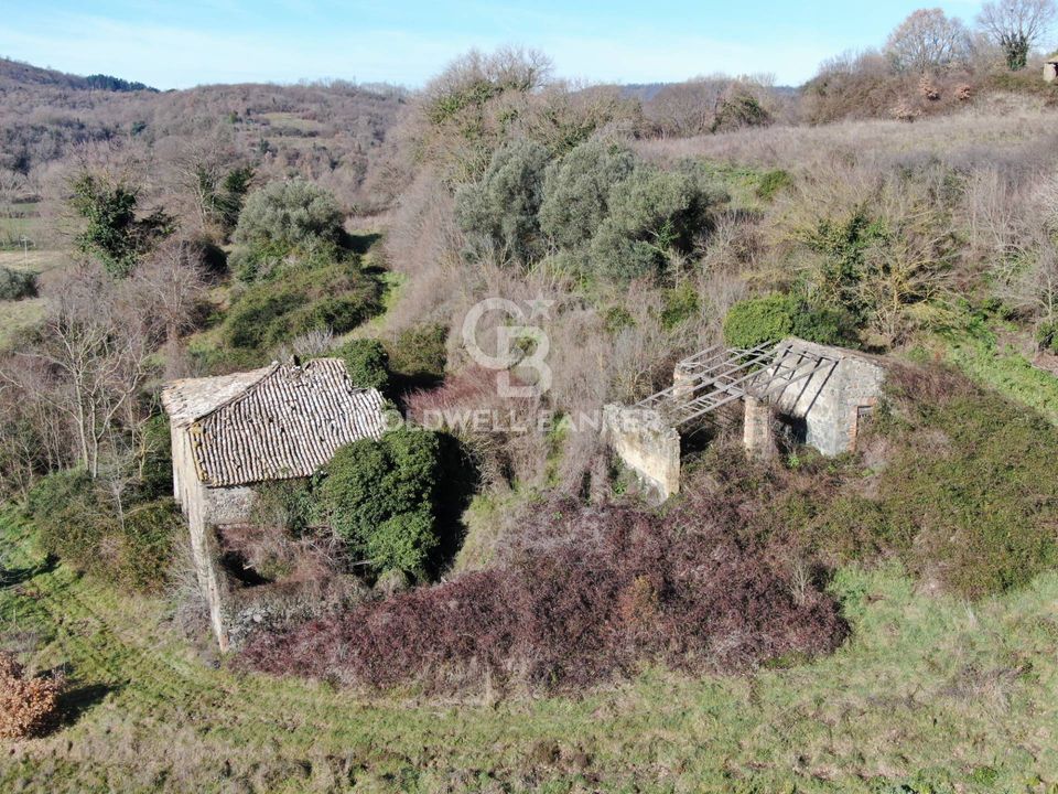 Landejendom i Latera, Viterbo - foto 4