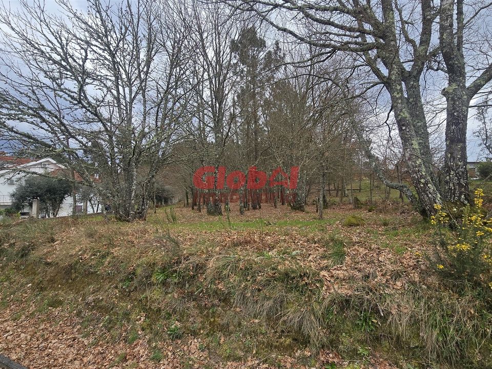 Helårsgrund i Viseu, Viseu - foto 3