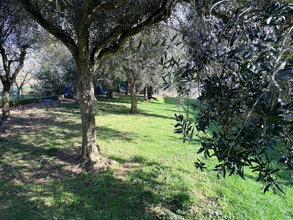 Landejendom i Chiaravalle, Ancona - foto 5