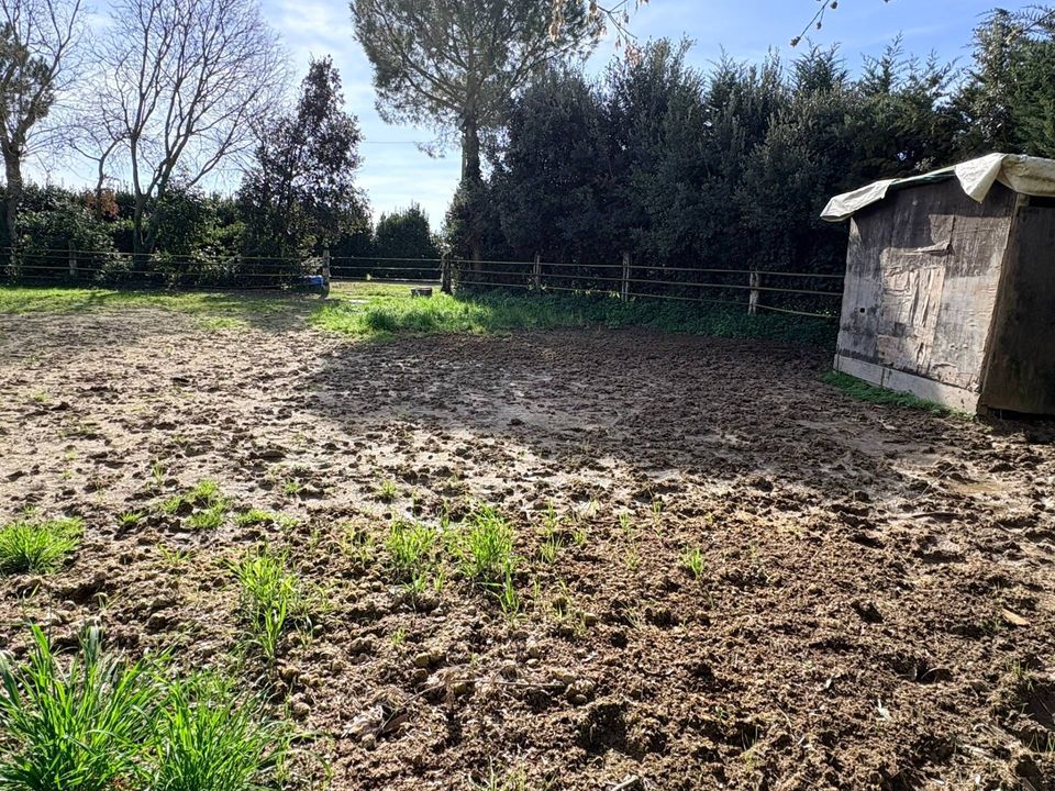 Landejendom i Chiaravalle, Ancona - foto 5