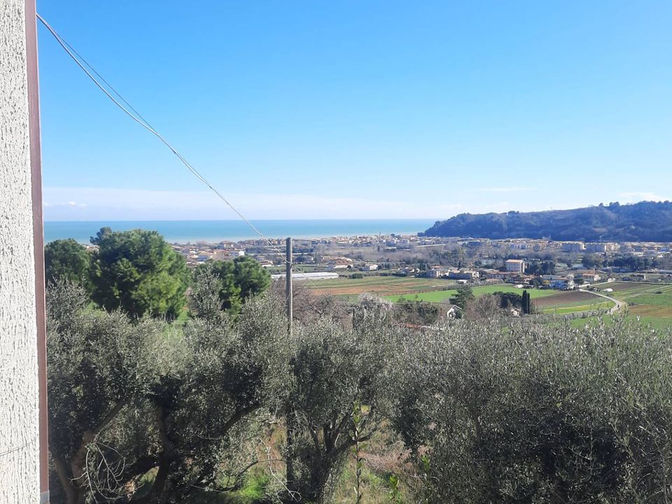Herregård i Altidona, Fermo - bilde 3