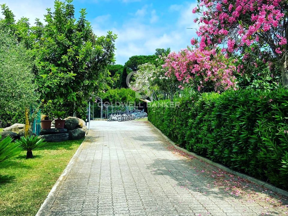 Erhvervsejendom i Campo Nell'Elba, Livorno - foto 5