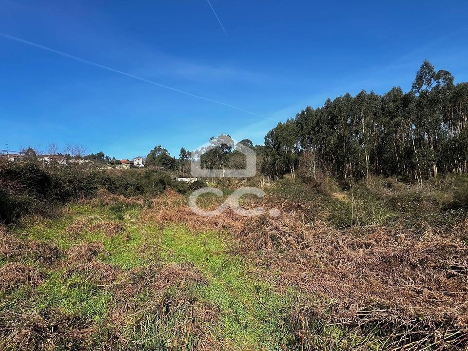 Helårsgrund i Pacos de Ferreira, Porto - foto 4