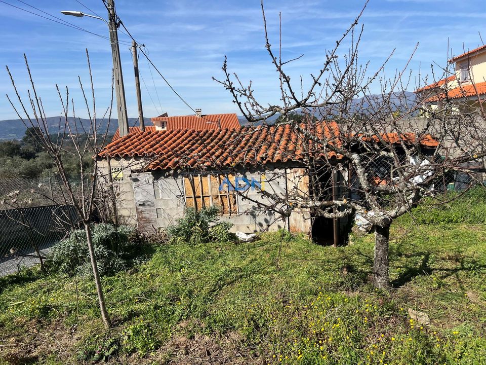 Helårsgrund i Fundao, Castelo Branco - foto 5