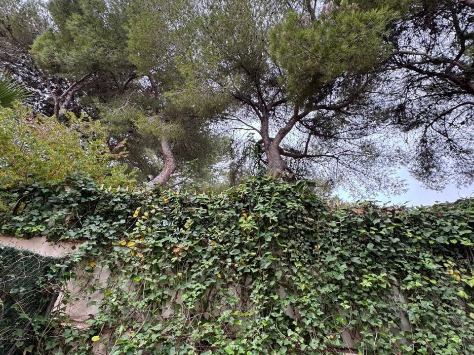 Villa i Torrevieja, Alicante - foto 4