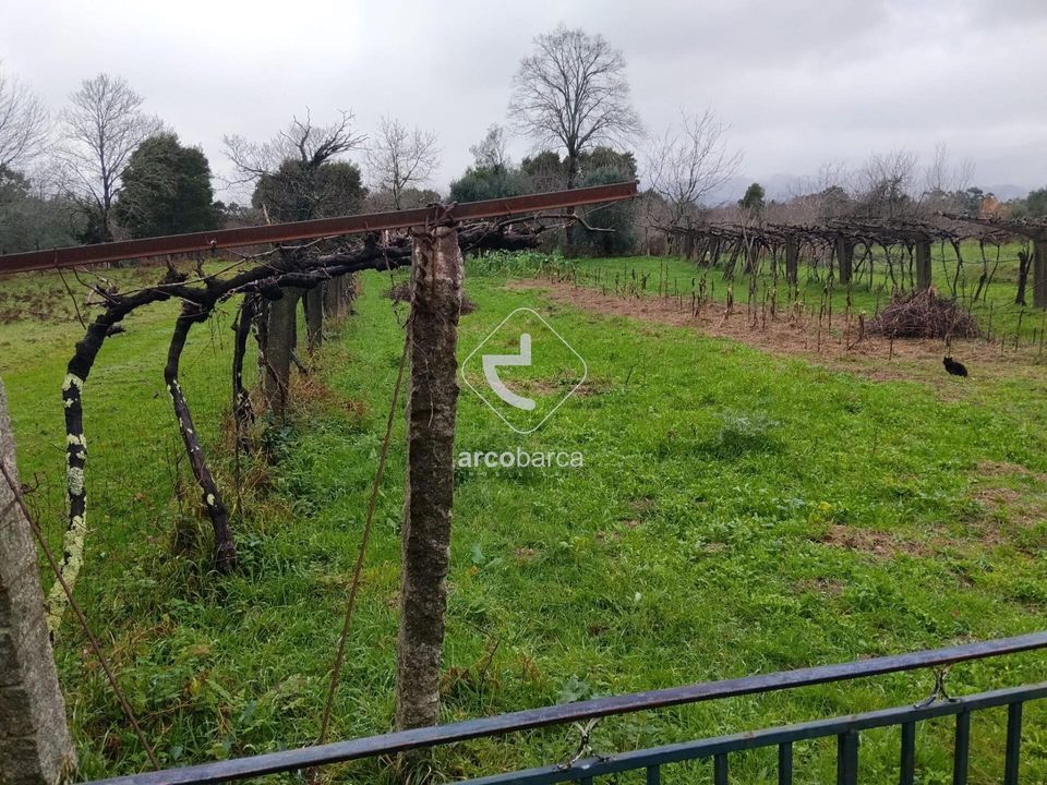 Helårsgrund i Valenca, Viana do Castelo - foto 4