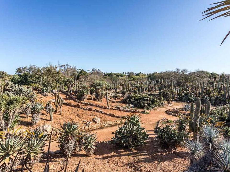 Finca i Ses Salines, Mallorca - foto 2