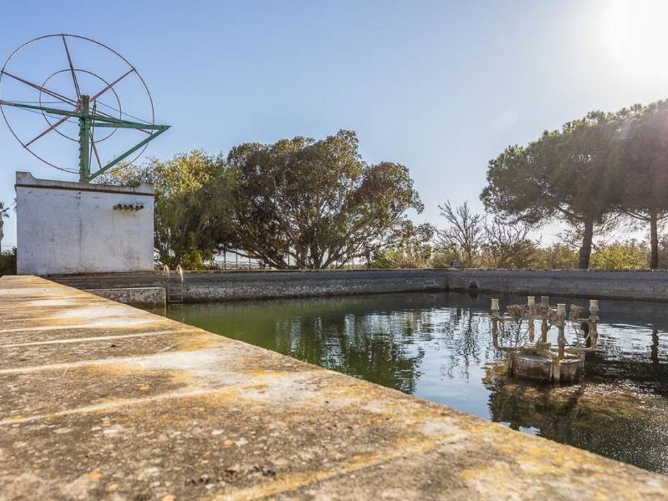 Finca i Ses Salines, Mallorca - foto 4