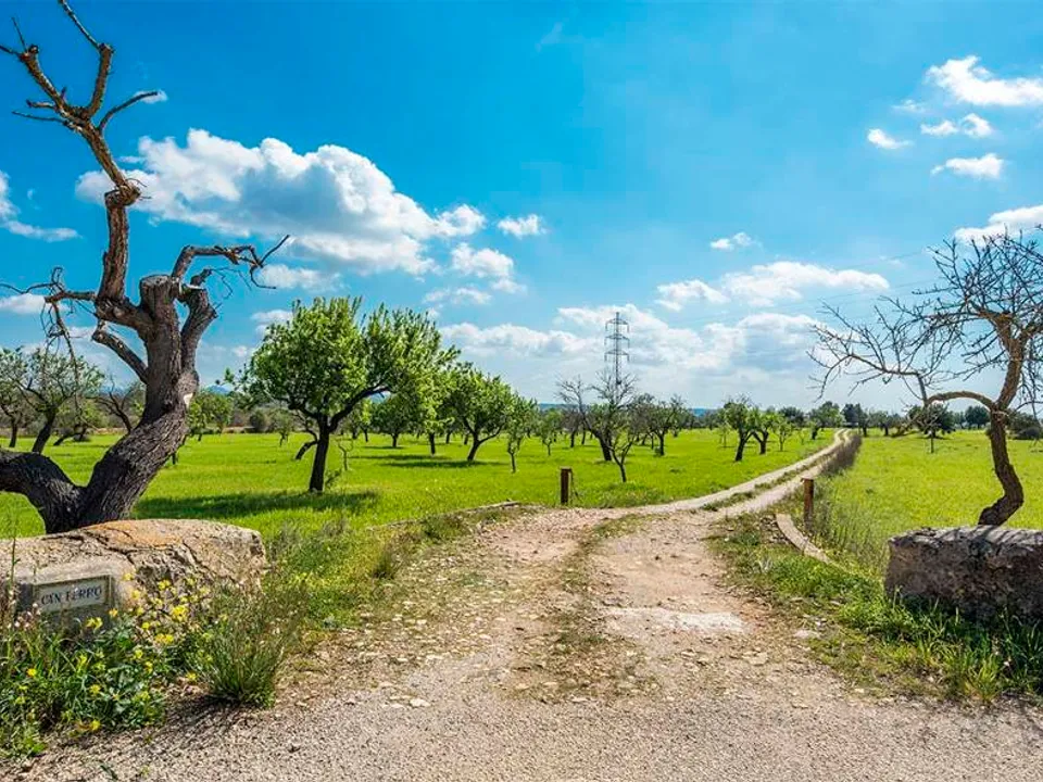 Finca i Puntiro, Mallorca - foto 2