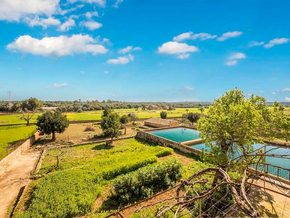 Finca i Puntiro, Mallorca - foto 4