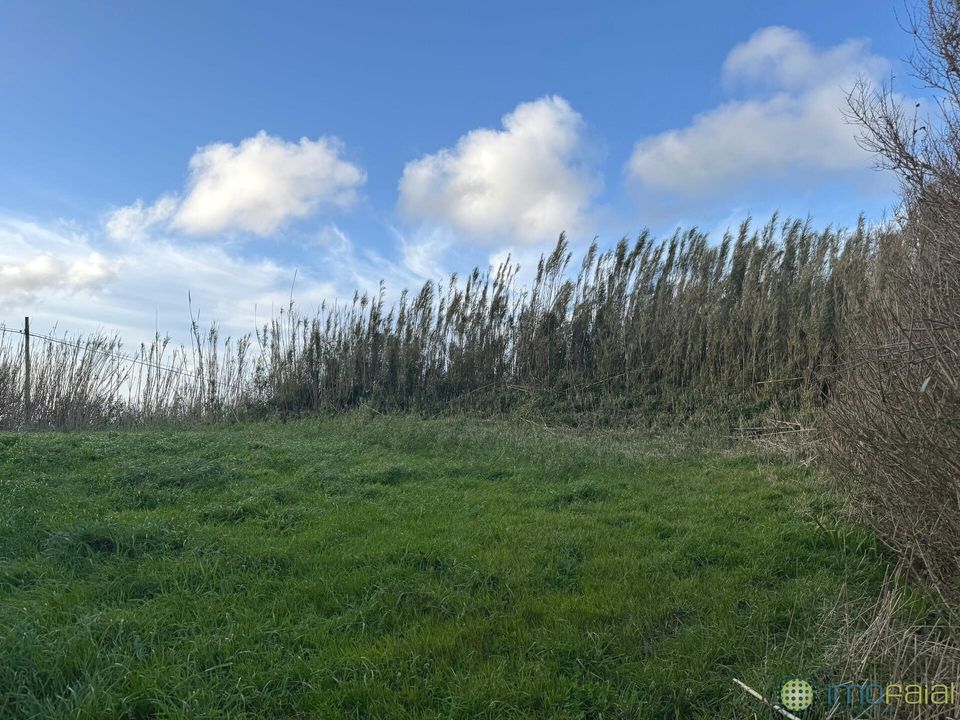 Byhus i Horta, Faial - foto 5