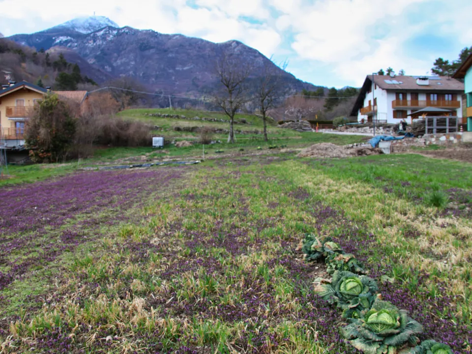Helårsgrund i Trento, Trento - foto 4